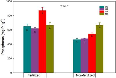 Legacy Phosphorus After 45 Years With Consistent Cropping Systems and Fertilization Compared to Native Soils